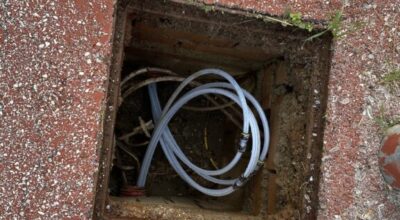 Quale tipologia di servizi è possibile richiedere dal portale?